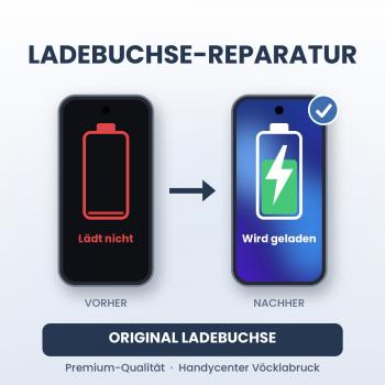 iPhone 11 Ladebuchse Reparatur – Original Ladebuchse (pulled)